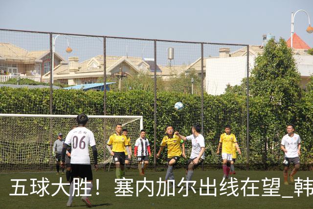 五球大胜！塞内加尔出线在望 韩国晋级仅剩理论希望